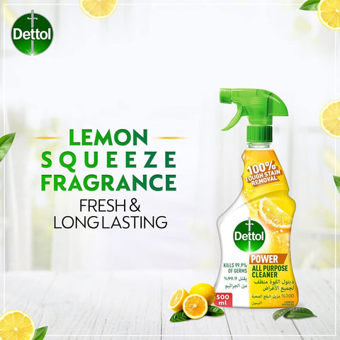 DETTOL MULTI PURPOSE - TRIGGER 12x500ml