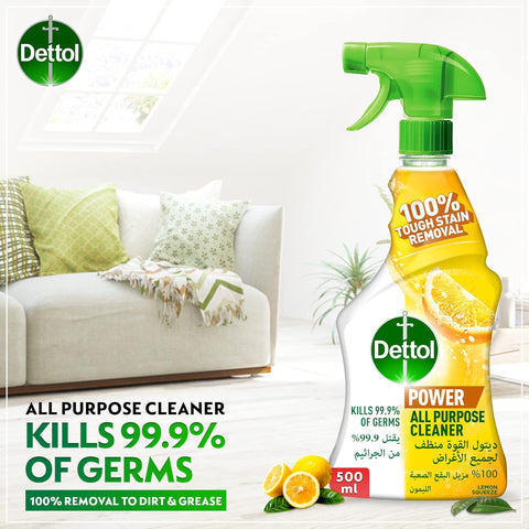 DETTOL MULTI PURPOSE - TRIGGER 12x500ml