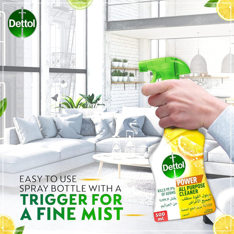 DETTOL MULTI PURPOSE - TRIGGER 12x500ml