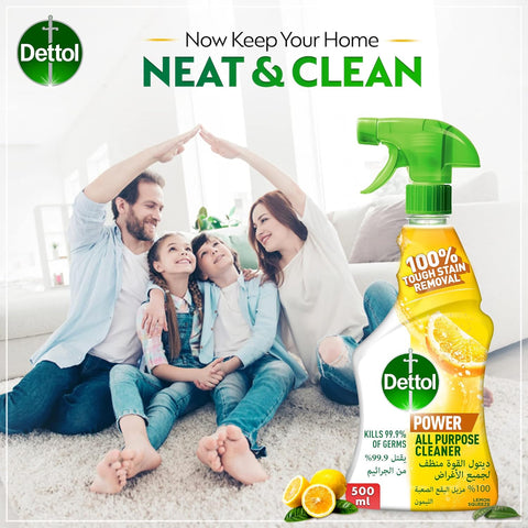 DETTOL MULTI PURPOSE - TRIGGER 12x500ml