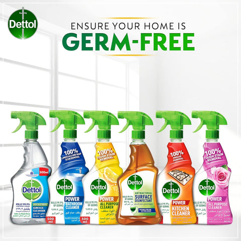 DETTOL MULTI PURPOSE - TRIGGER 12x500ml